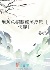 炮灰总招惹疯美反派[快穿]