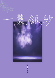 一袭银纱