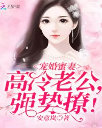 宠婚蜜妻:高冷老公,强势撩!